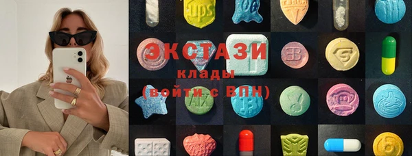 гашик Няндома