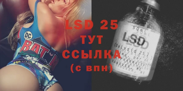 гашик Няндома