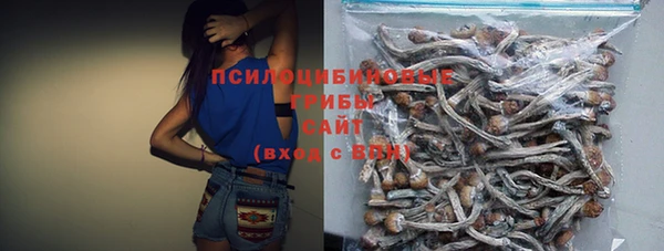 гашик Няндома