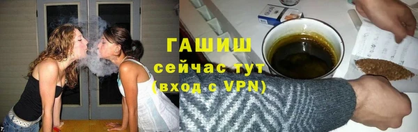 гашик Няндома