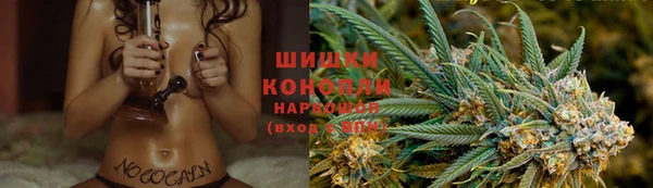 гашик Няндома