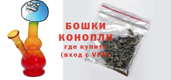 гашик Няндома