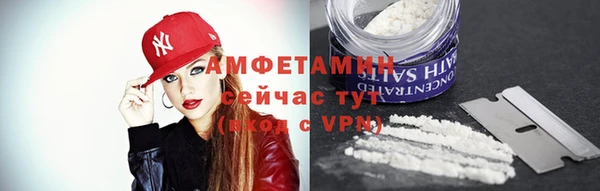 гашик Няндома