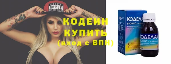 гашик Няндома