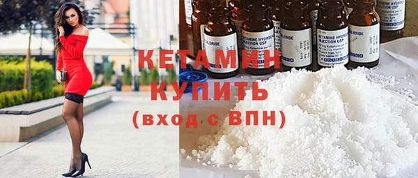 гашик Няндома