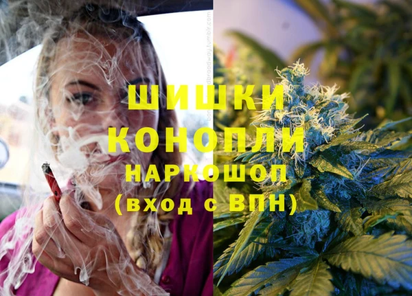 гашик Няндома