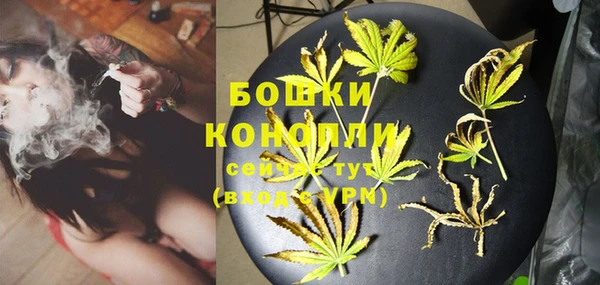 гашик Няндома