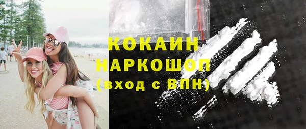 гашик Няндома