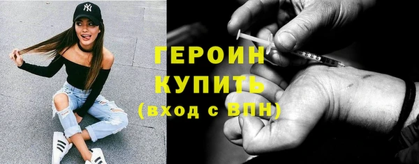 гашик Няндома