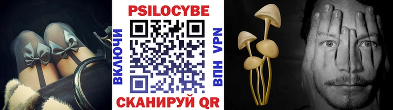 Галлюциногенные грибы Psilocybine cubensis  Балаково 